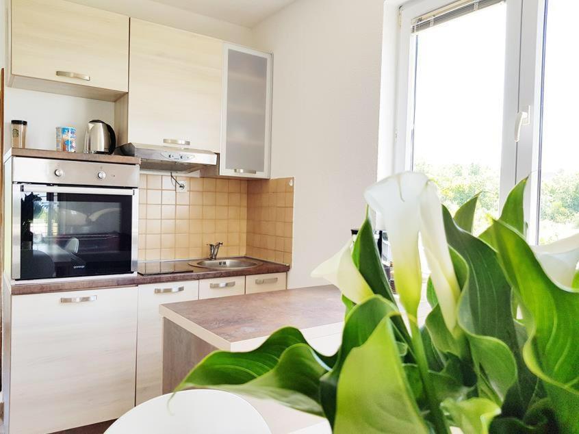 Talija Apartments Krimovica Budva Kültér fotó